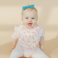 Baby Bandana Bibs - Cheery