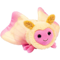 Douglas Rosy Maple Moth