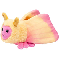 Douglas Rosy Maple Moth