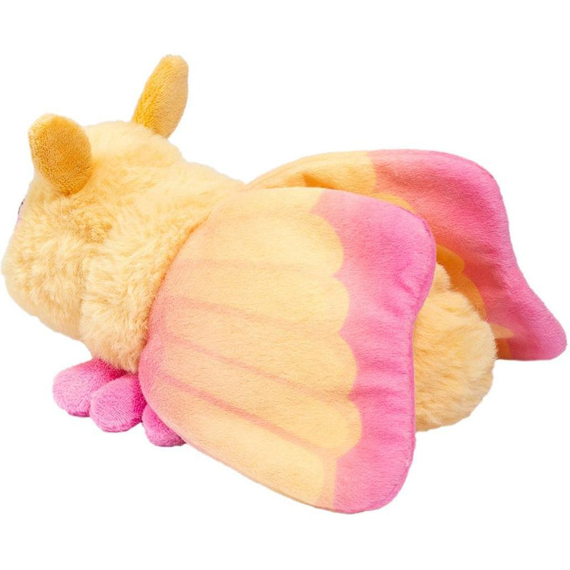 Douglas Rosy Maple Moth