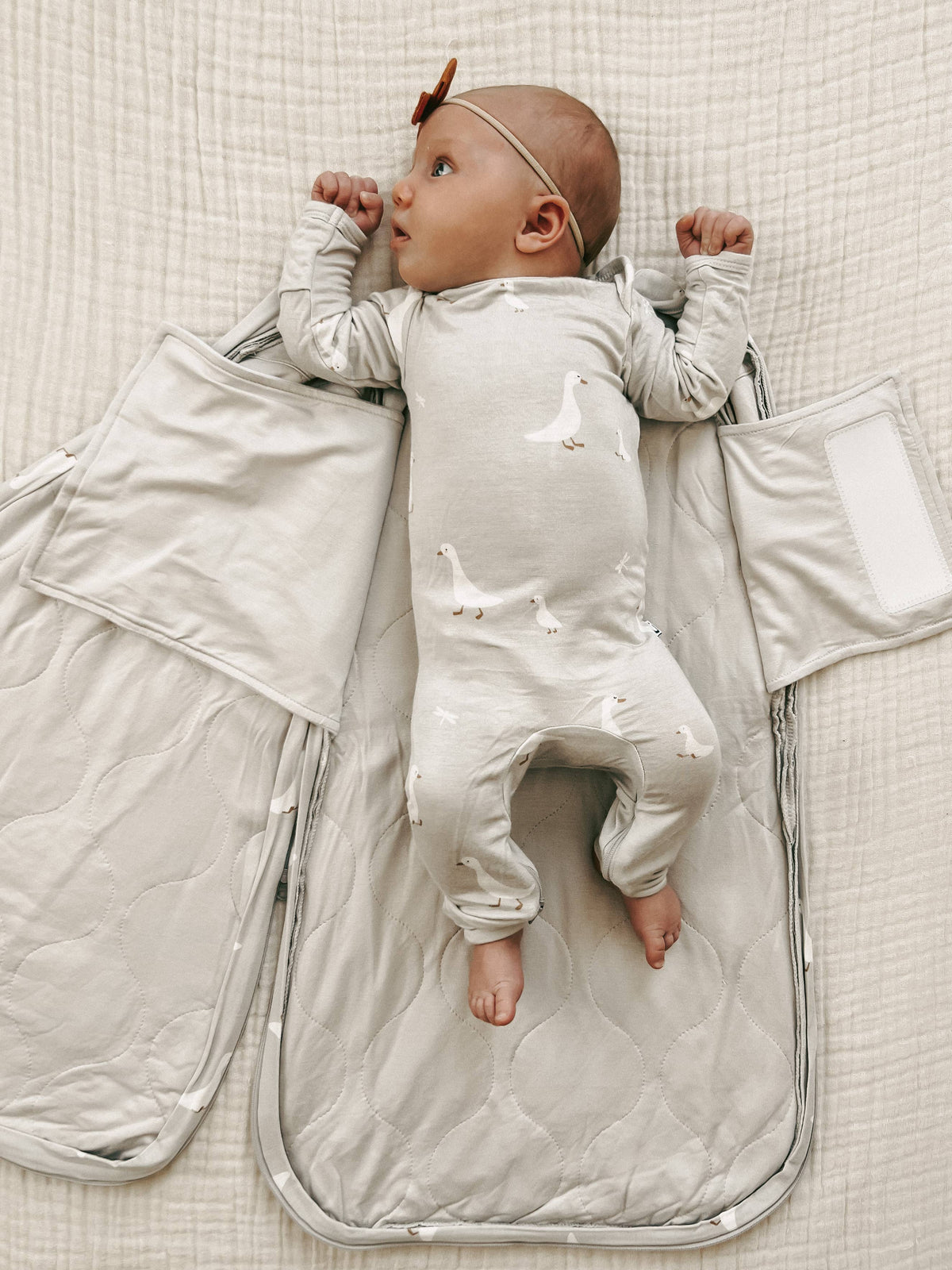 FW26 Swaddle Sleep Sack: Moose / 1