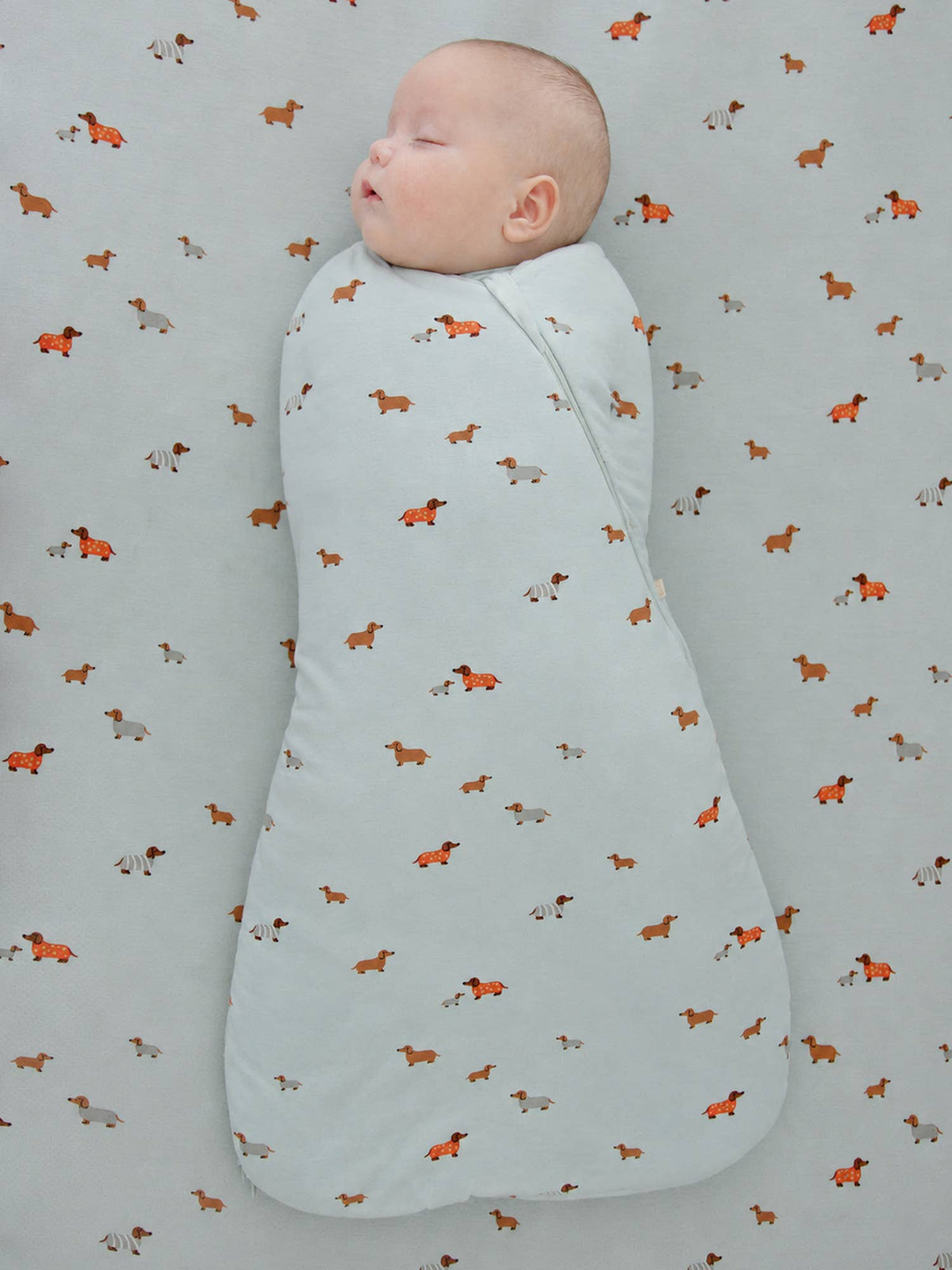 FW26 Swaddle Sleep Sack: Moose / 1