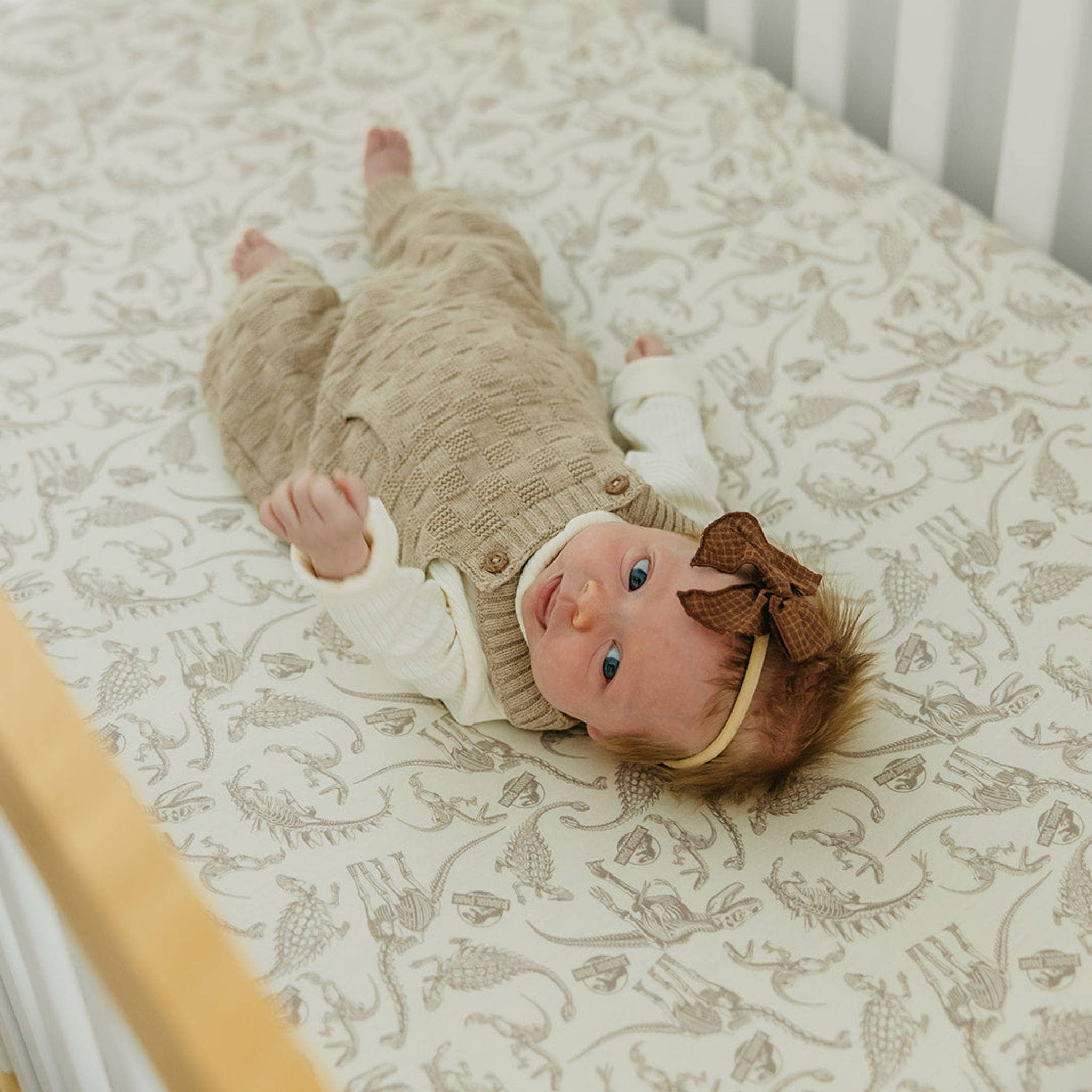 Premium Knit Fitted Crib Sheet - Jurassic Park Fossils