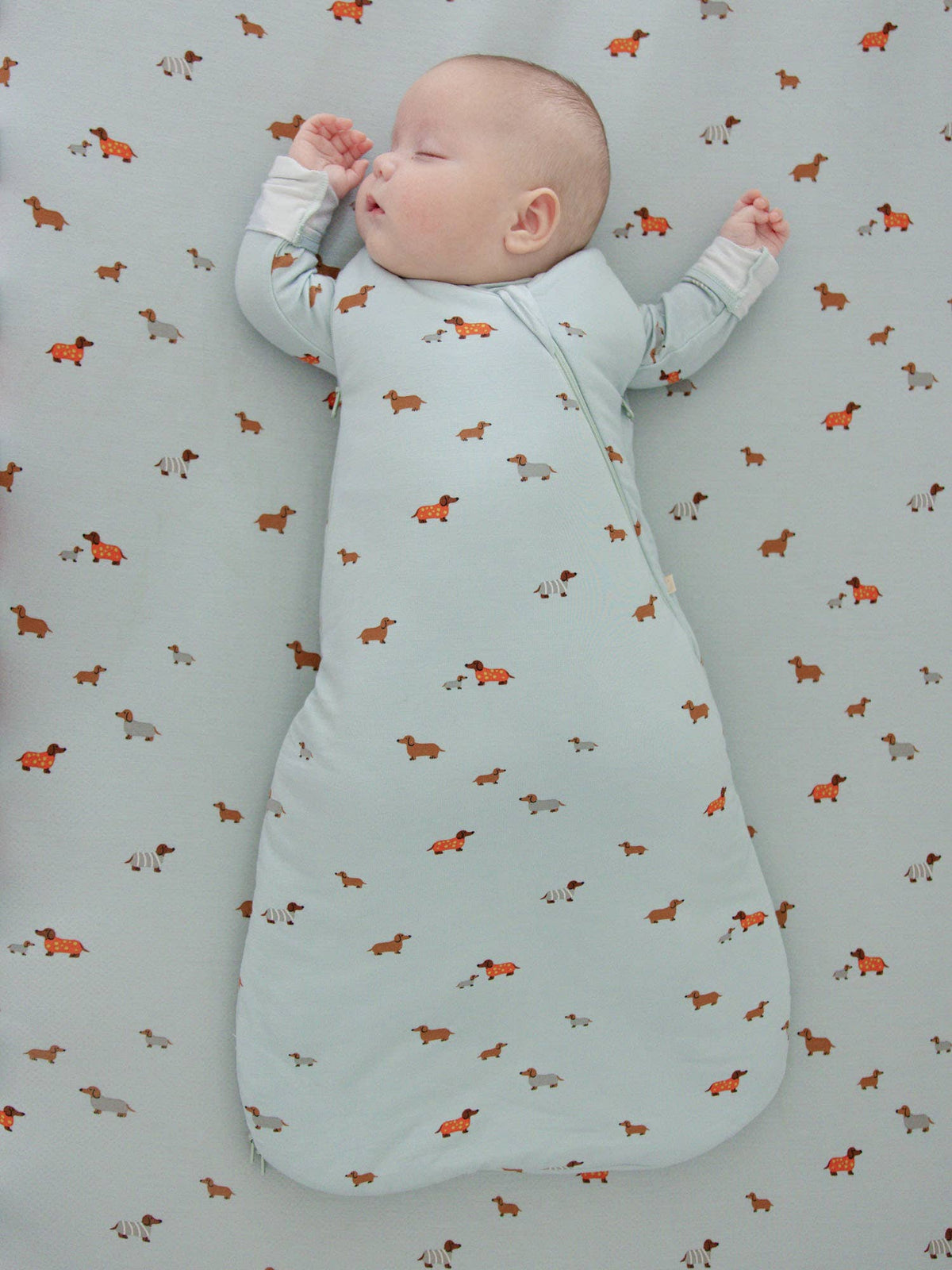 FW26 Swaddle Sleep Sack: Petals / 1