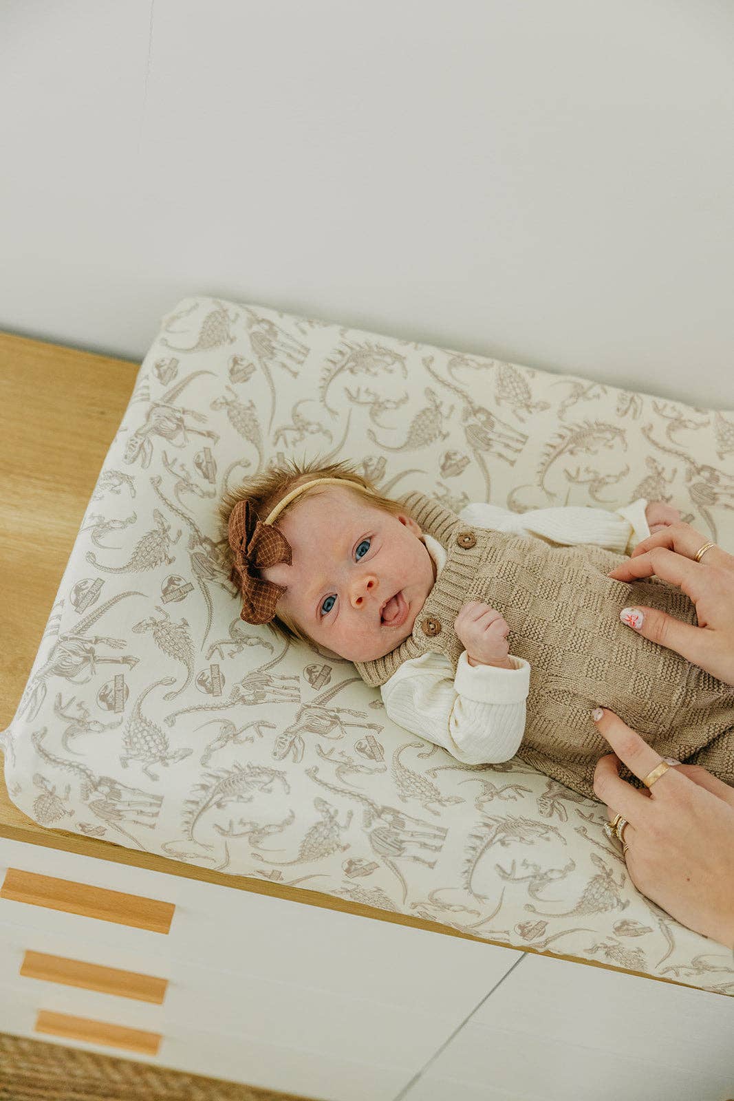 Premium Knit Diaper Changing Pad Cover - Jurassic Park Fossils