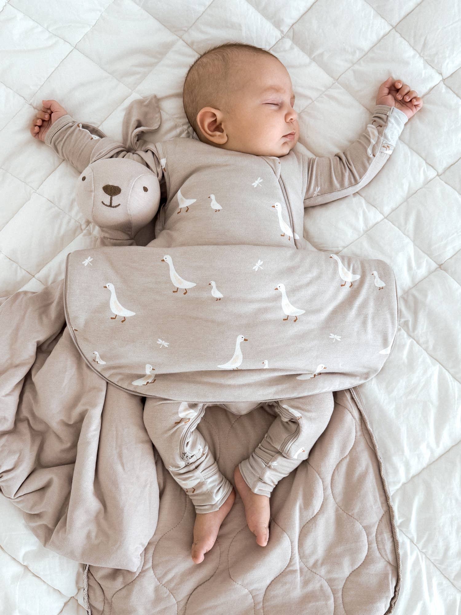 Transitional Swaddle Bag 1.0TOG  | Woof