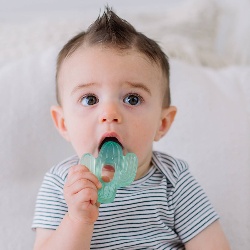 Cutie Coolers™ Water Filled Teethers (3-pack): Silly Foods