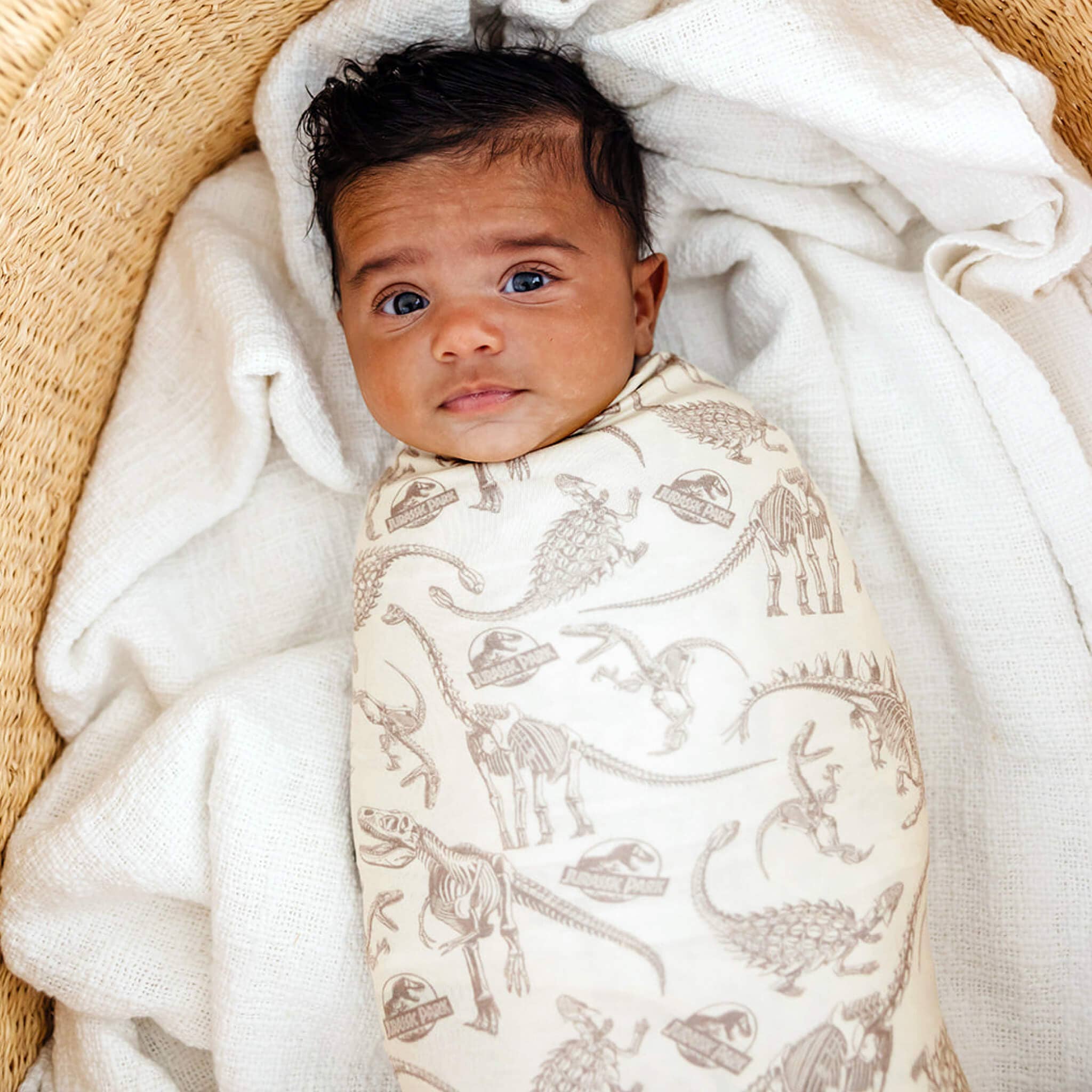 Knit Swaddle Blanket - Jurassic Park Fossils