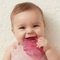 *NEW* Cutie Coolers™ Bow