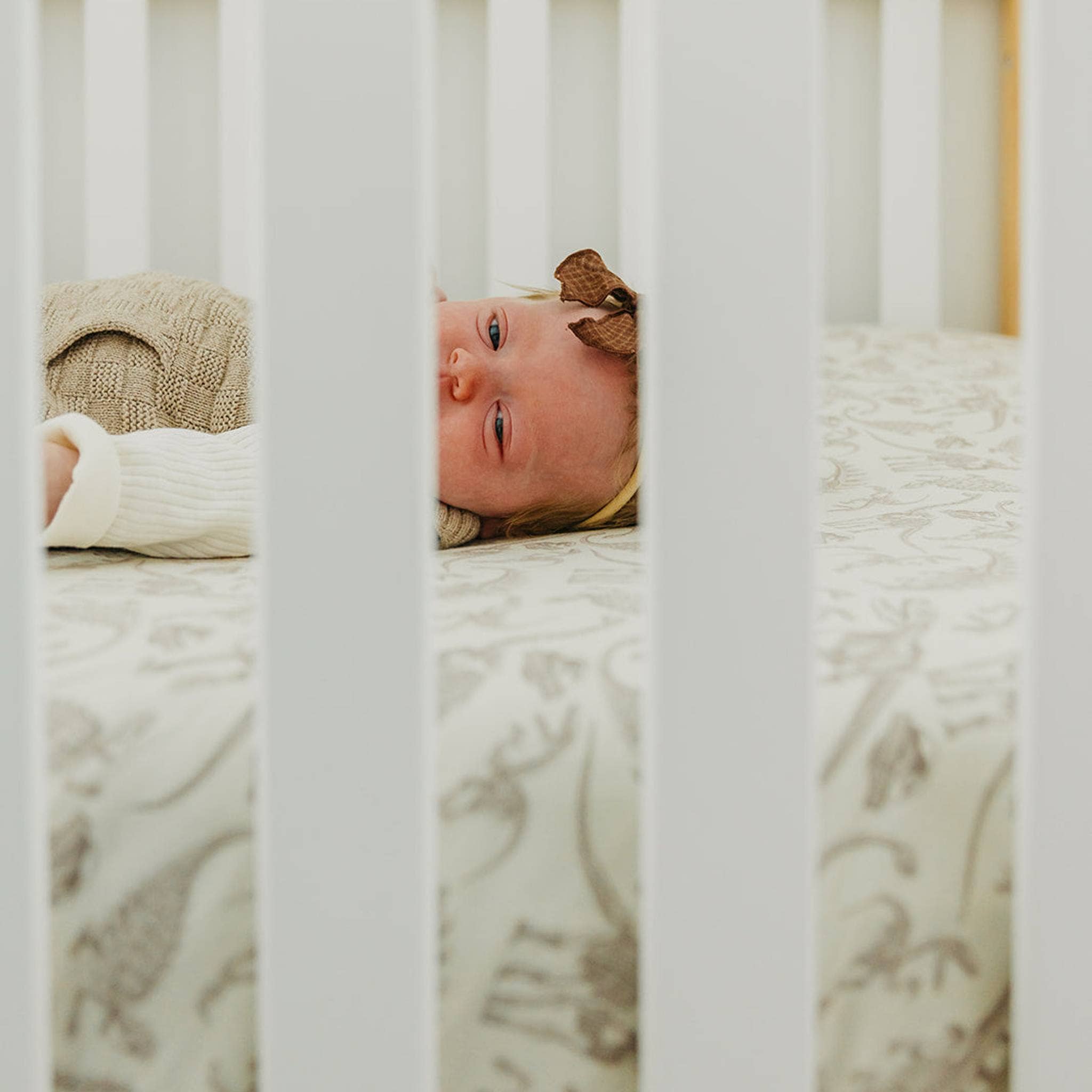 Premium Knit Fitted Crib Sheet - Jurassic Park Fossils