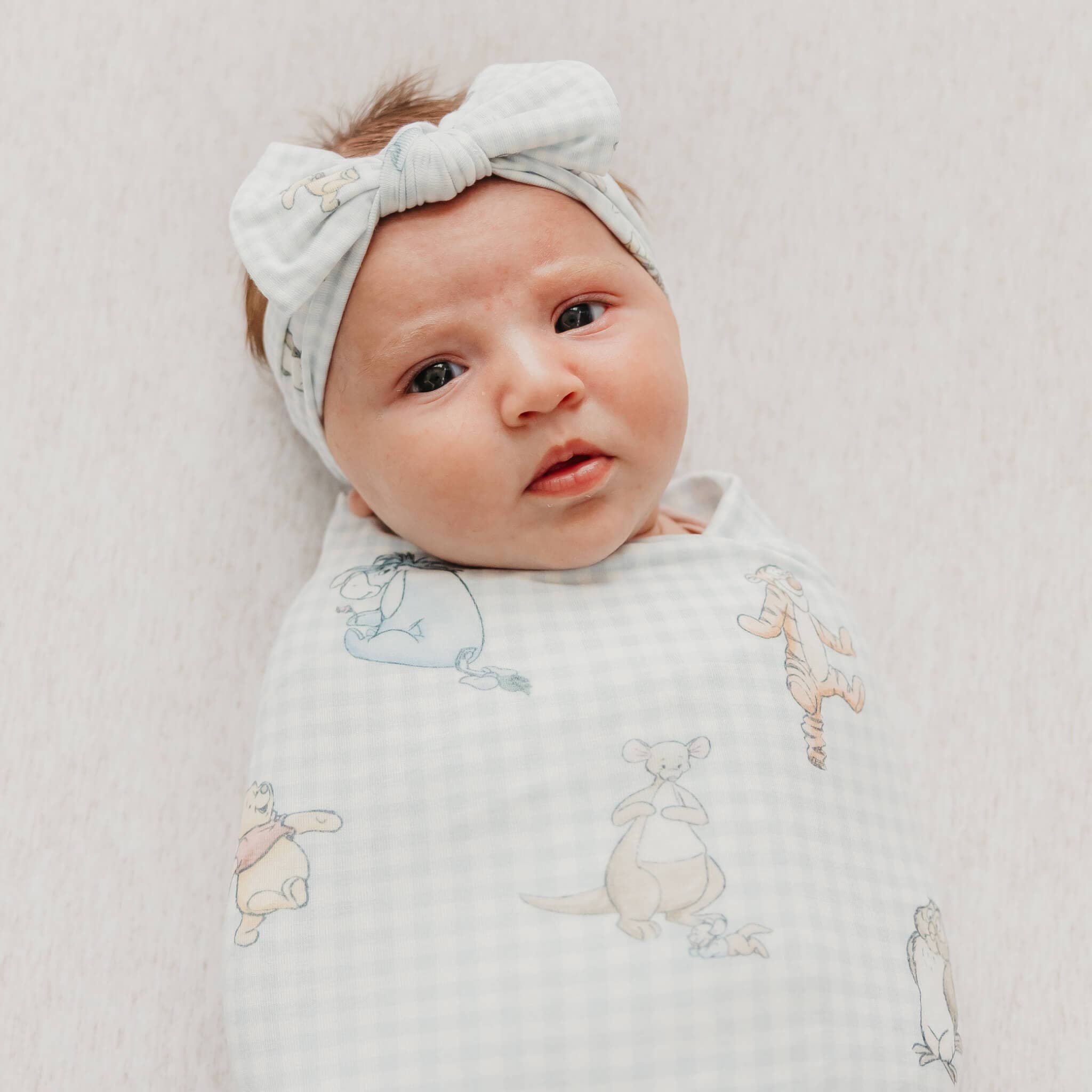 Knit Swaddle Blanket - Winnie the Pooh and Friends