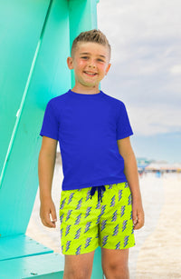 Limeapple Carson Boys Blue Short Sleeve Rashguard