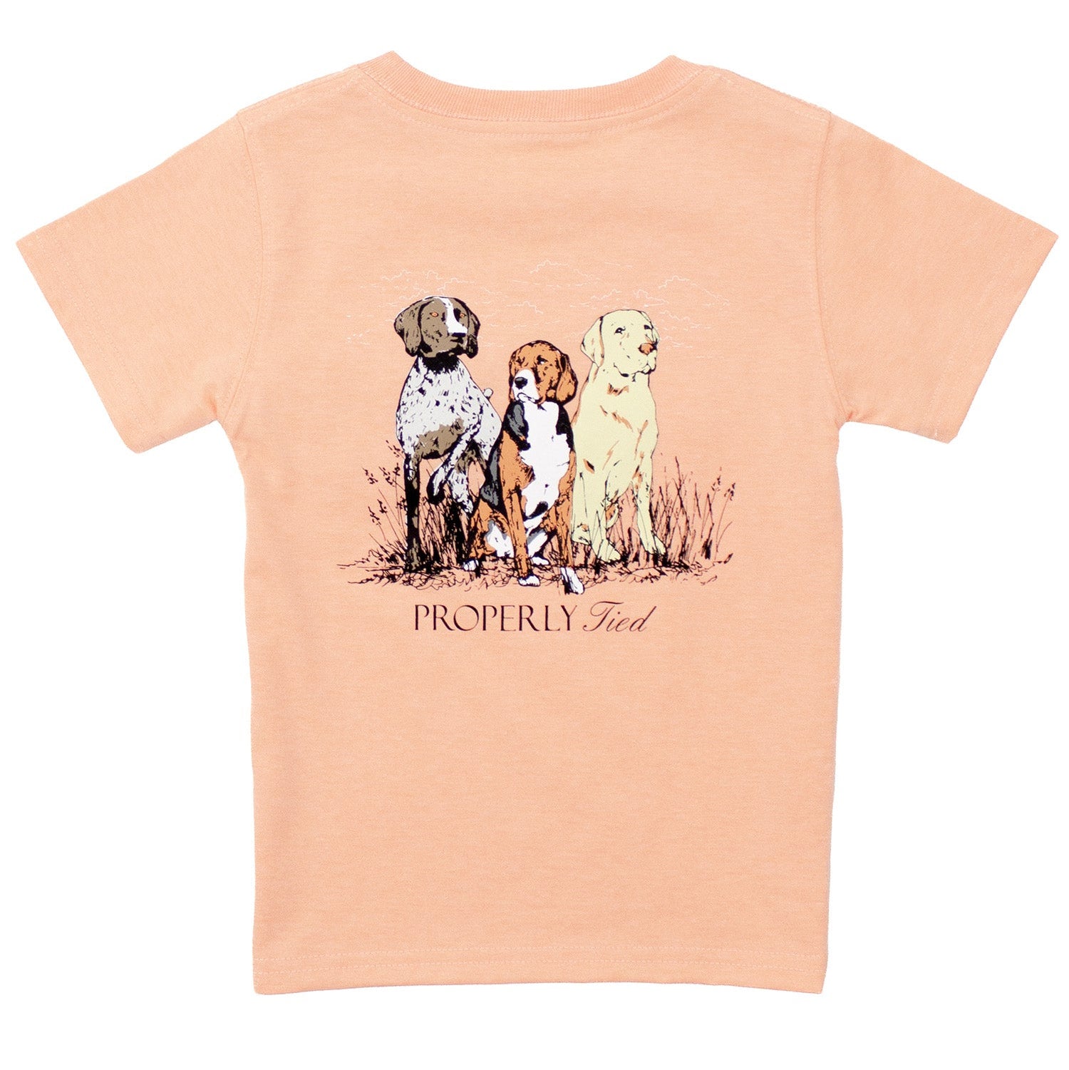 Properly Tied Boys Short Sleeve Tee Triple Dog | Melon