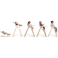 Nuna BRYN Newborn Rocker