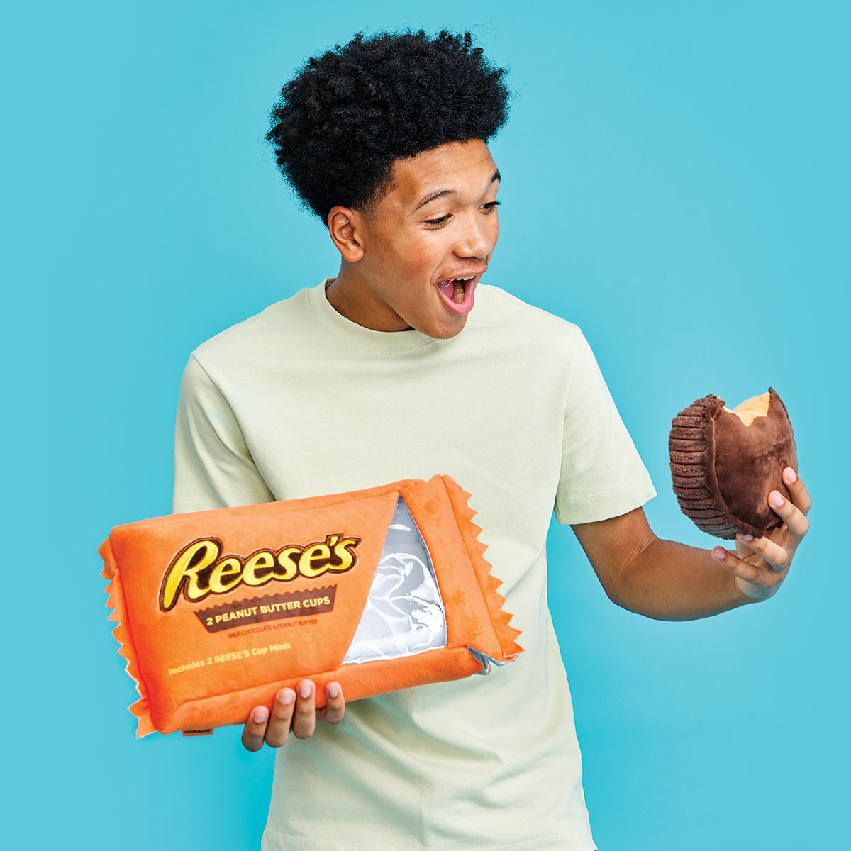 IScream Reese's Peanut Butter Cups Packaging Plush