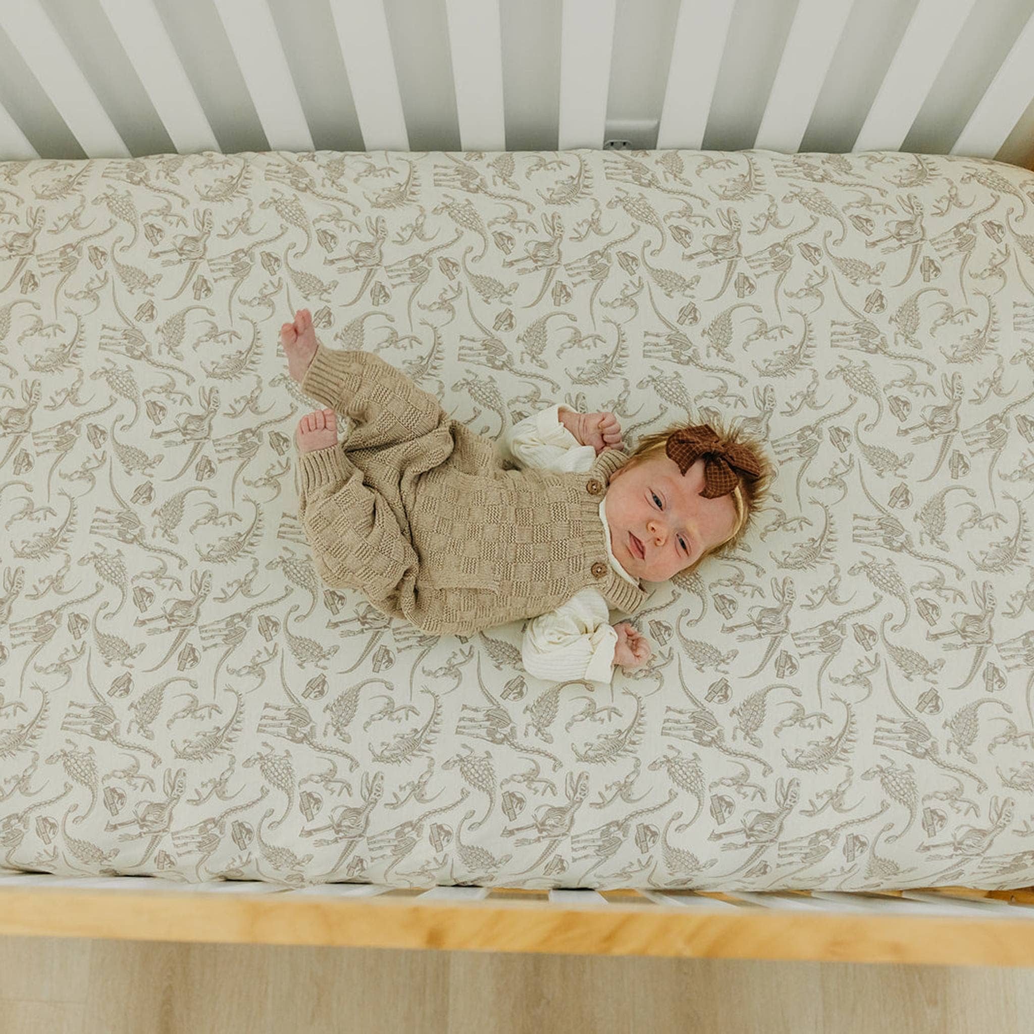 Premium Knit Fitted Crib Sheet - Jurassic Park Fossils