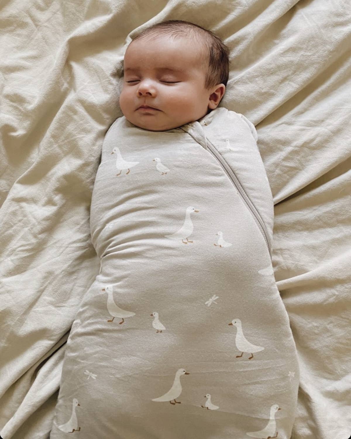 FW26 Swaddle Sleep Sack: Moose / 1