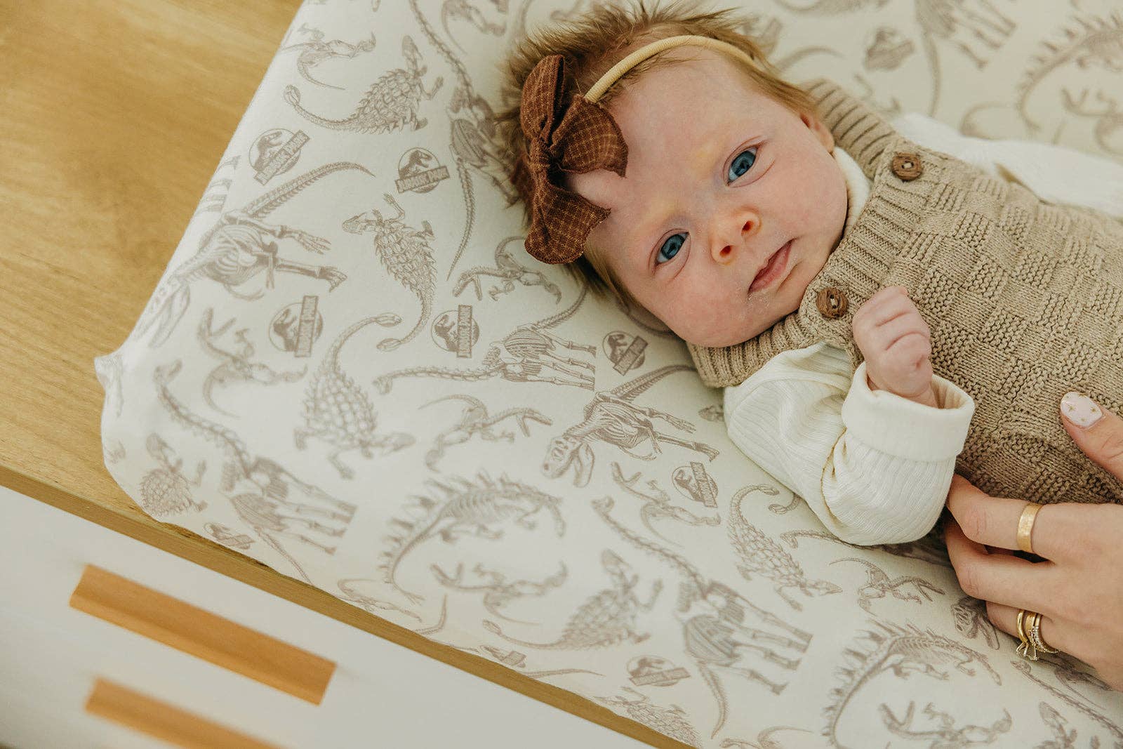 Premium Knit Diaper Changing Pad Cover - Jurassic Park Fossils