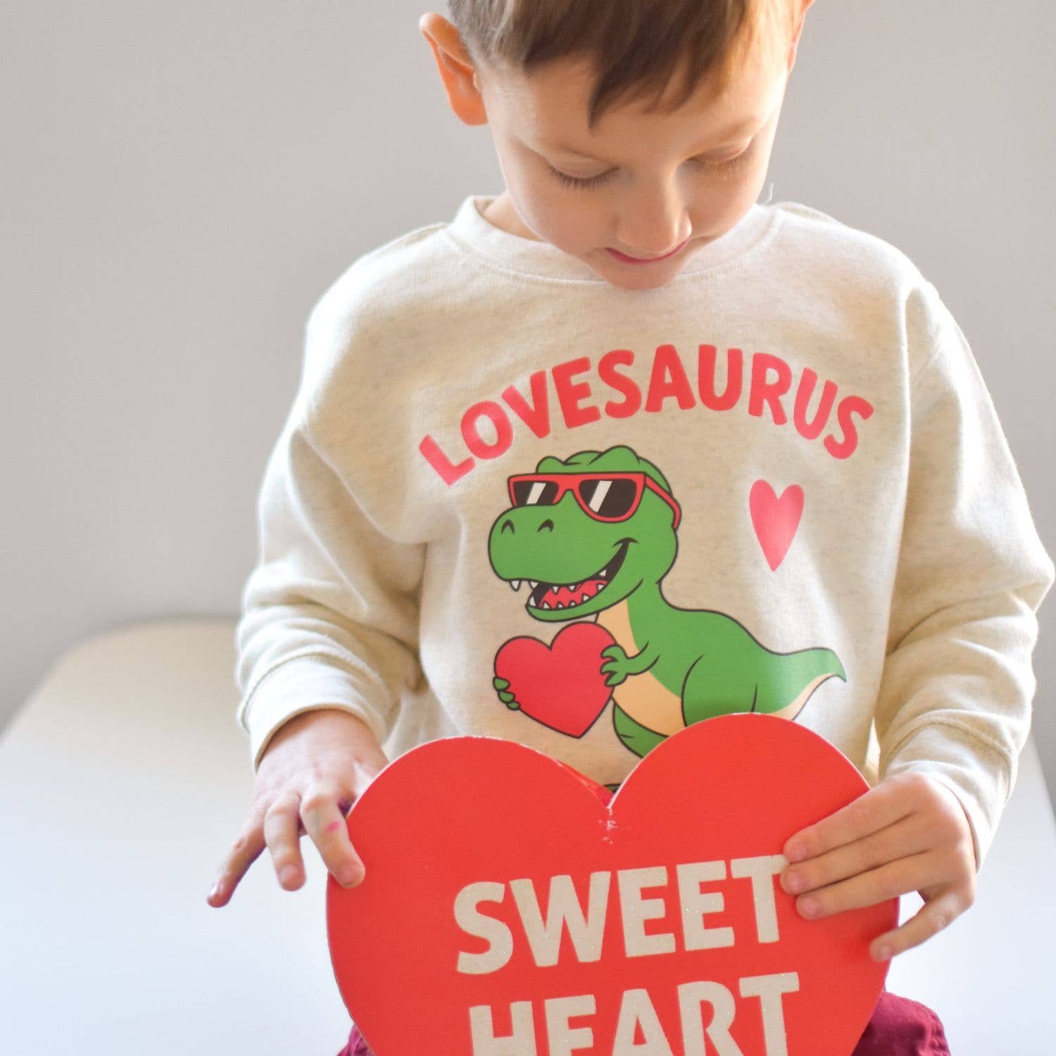 Lovesaurus Valentine's Day Sweatshirt - Boys Clothing