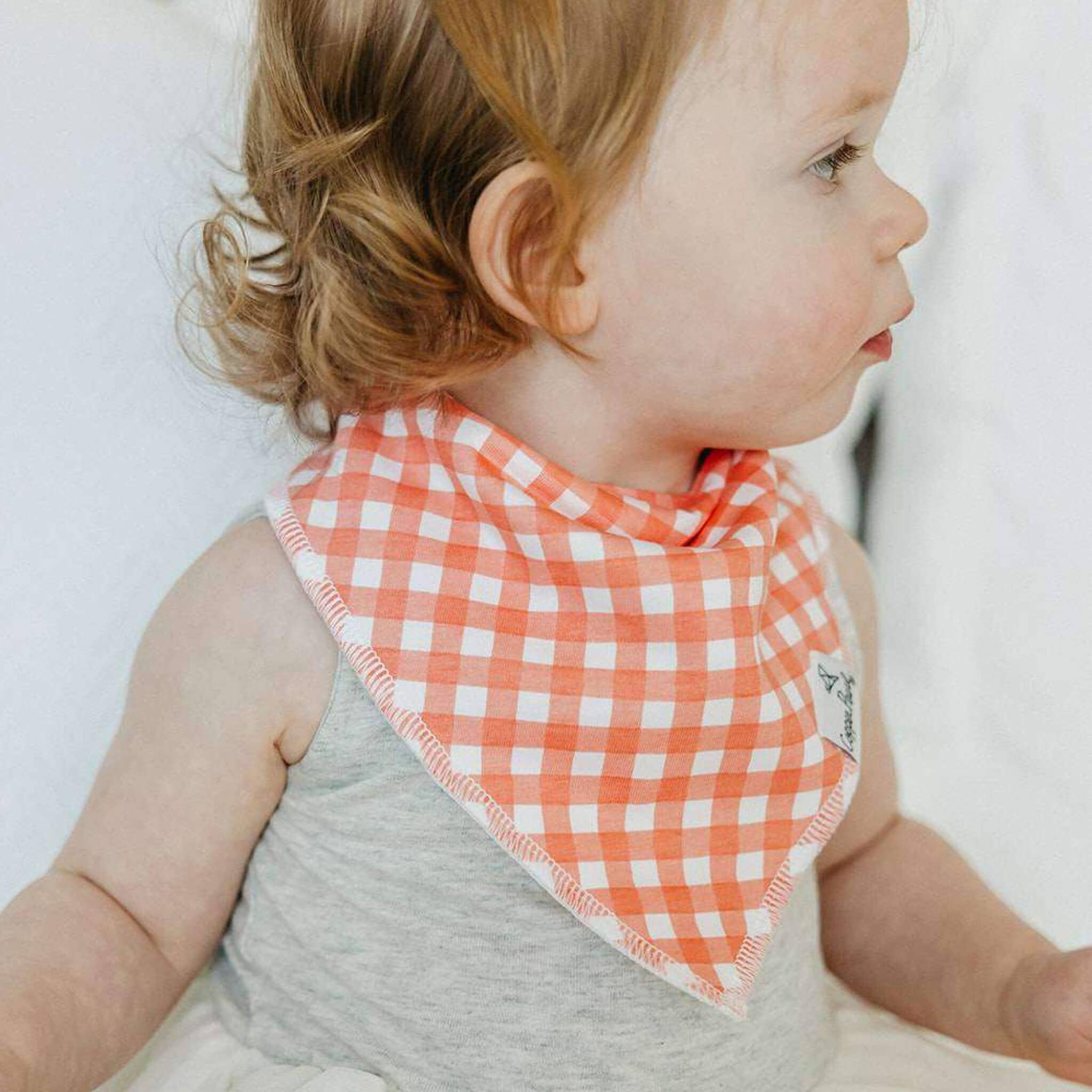 Baby Bandana Bibs - Goosie