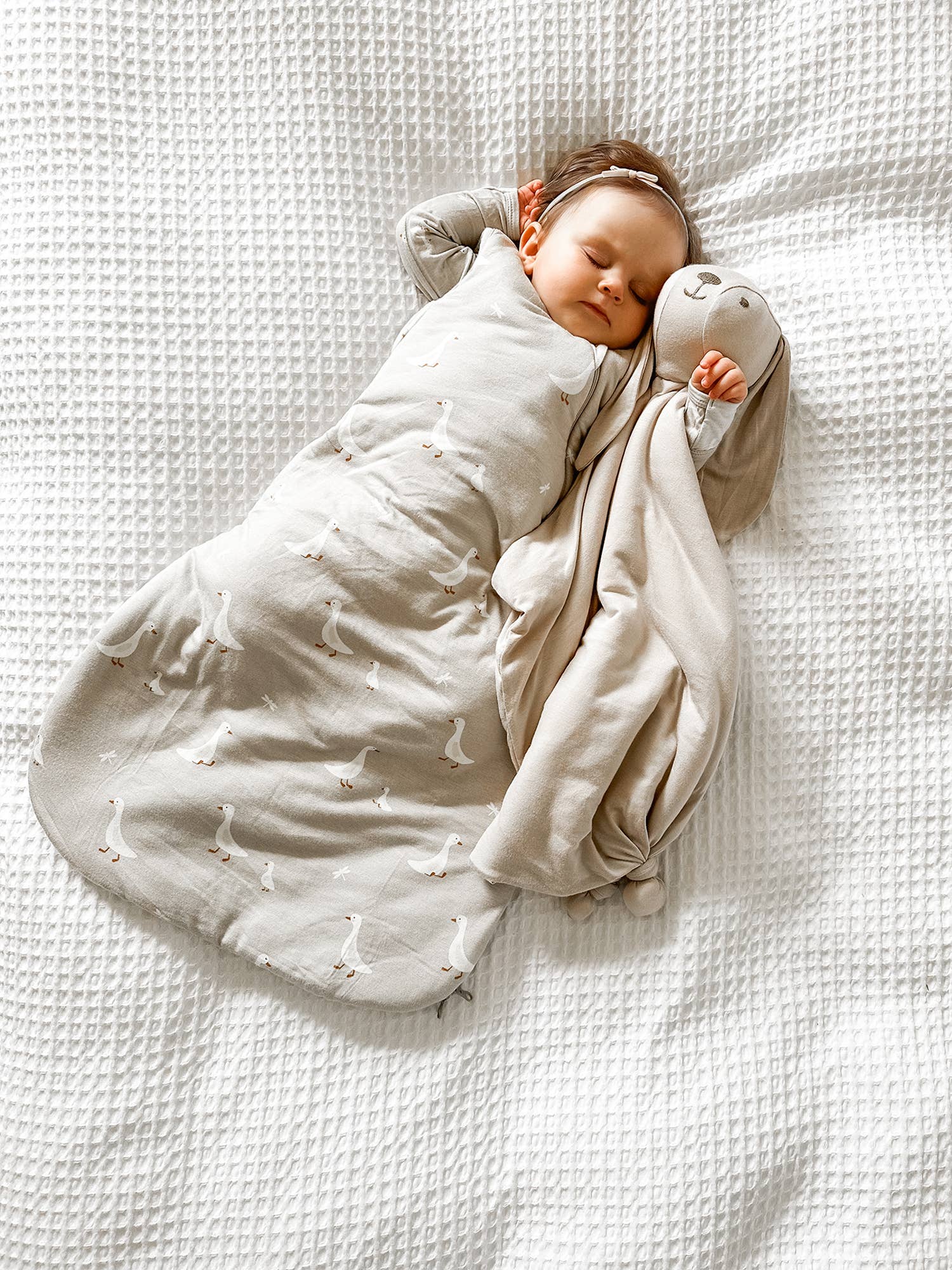 Transitional Swaddle Bag 1.0TOG  | Woof