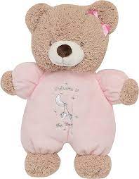 Baby Girls Welcome to the World Plush Bear
