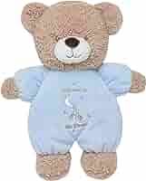 Baby Boys Welcome to the World Plush Bear