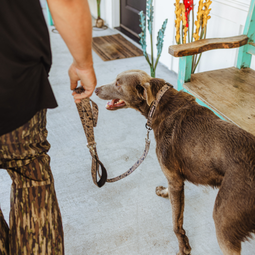Burlebo Dog Leash | Gauge Camo