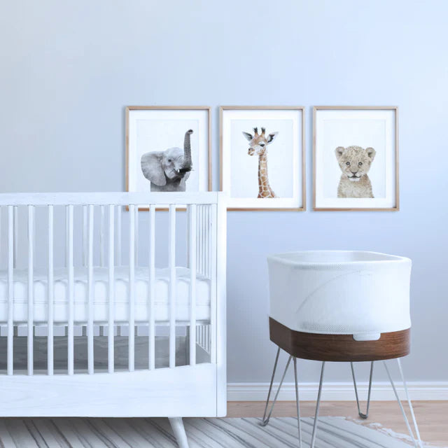 Happiest Baby SNOO Smart Sleeper Bassinet