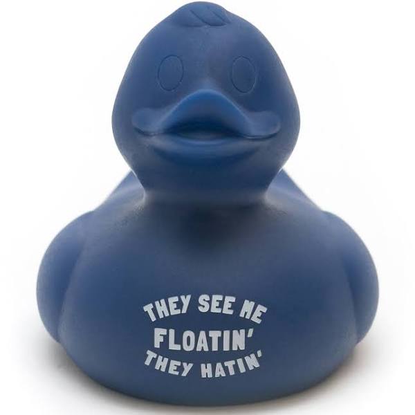 Floatin Wonder Duck