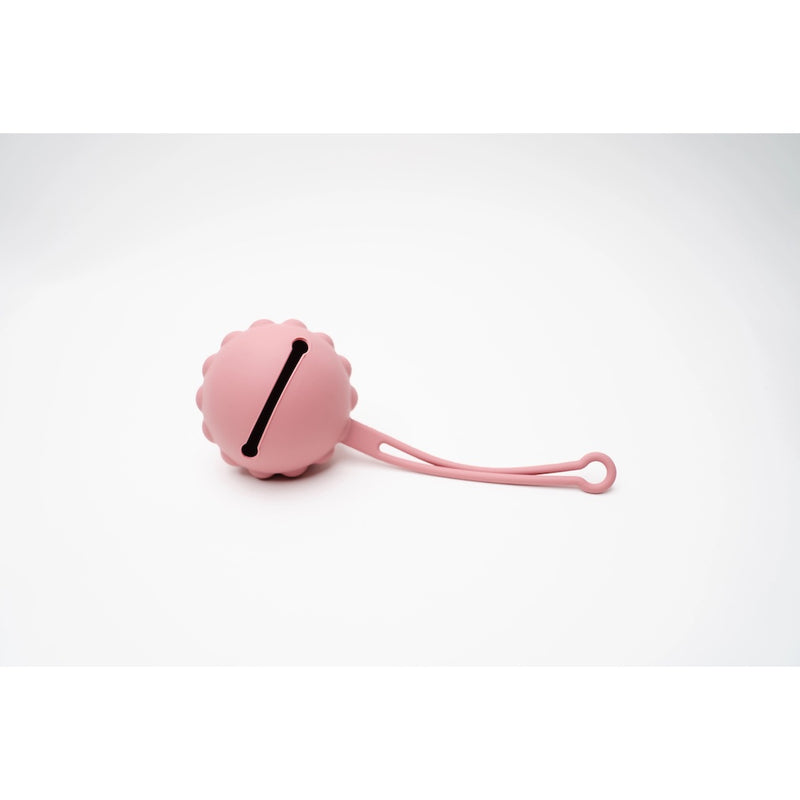 Silicone Pacifier Pouch - Rose