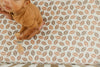Copper Pearl Premium Knit Fitted Crib Sheet | Blitz