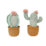 Cactus Pot Shelf Sitter