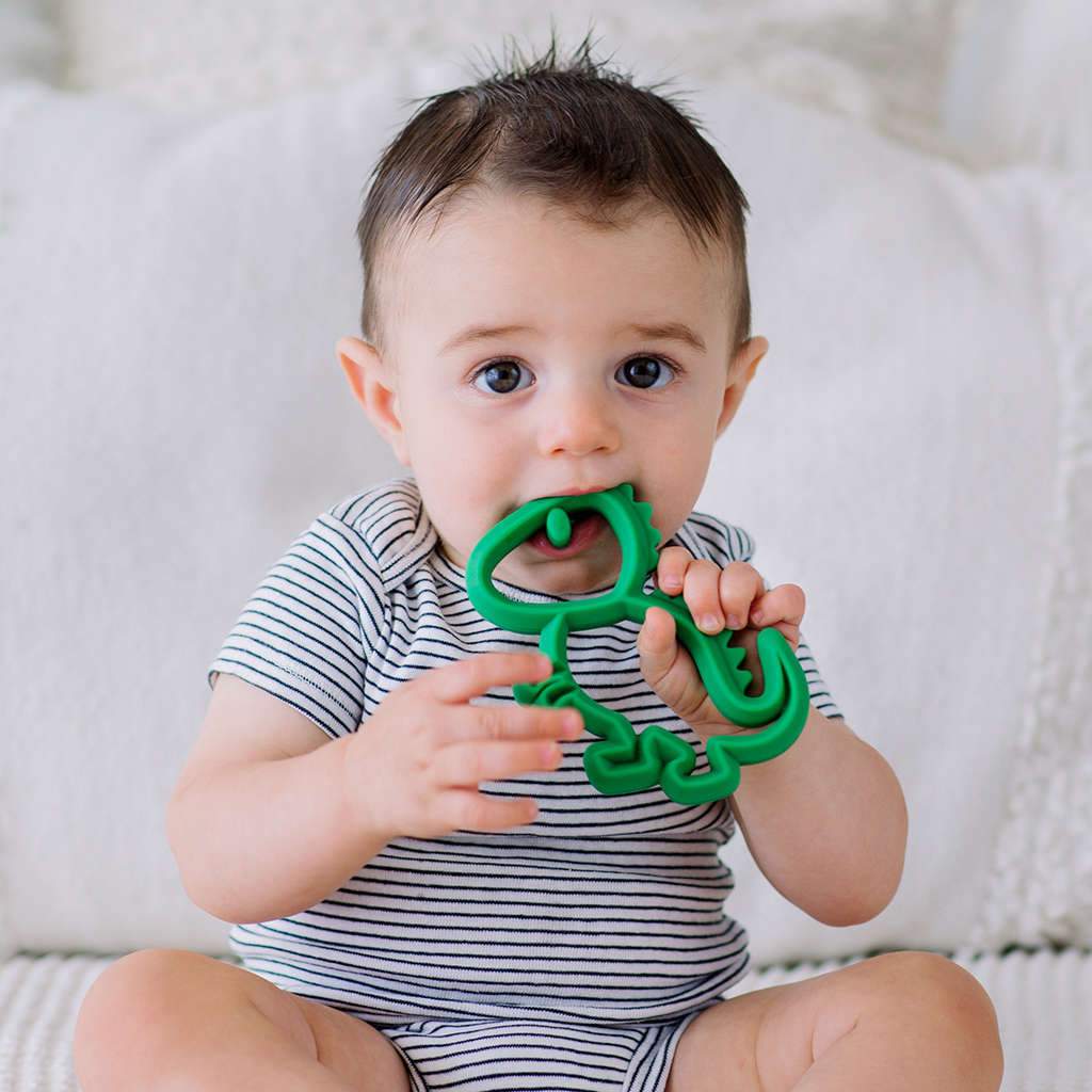 Itzy Ritzy Chew Crew Silicone Teether Dino