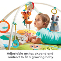 Tiny Love Into The Forest Gymini Deluxe Activity Gym Play Mat