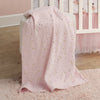 Lambs & Ivy Ballerina Baby Blanket